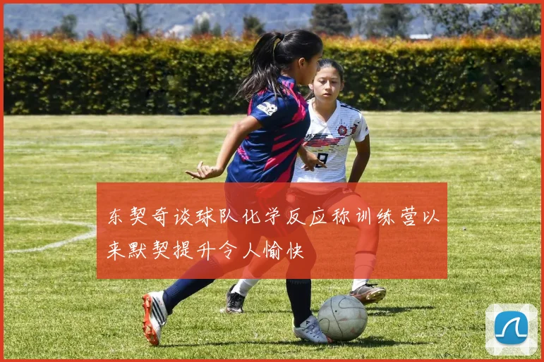 东契奇谈球队化学反应称训练营以来默契提升令人愉快
