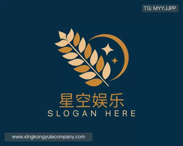 介绍星空娱乐中国